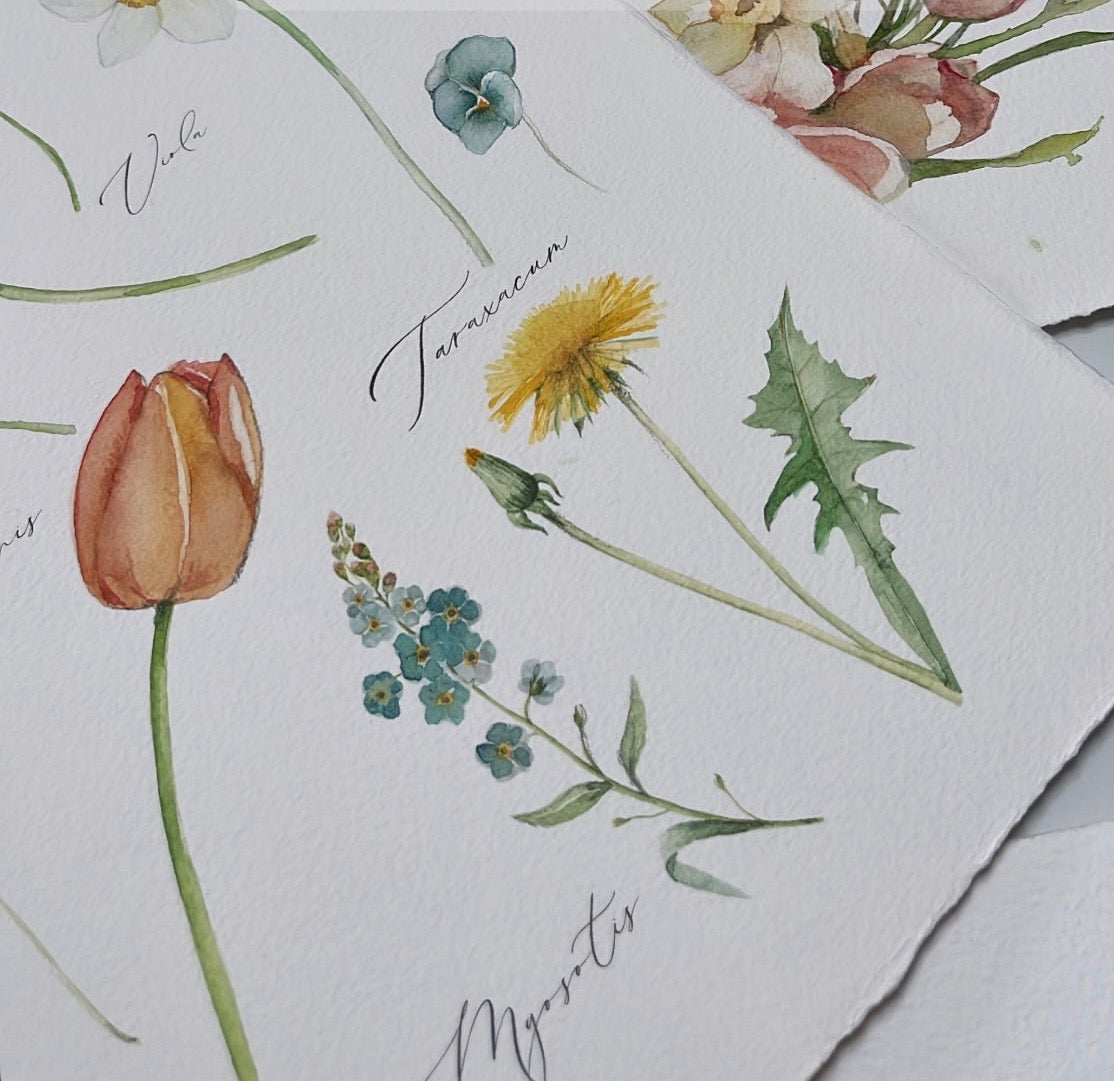 AKVARELL WORKSHOP Tavaszi kert és tájak - MÁRCIUS 28.